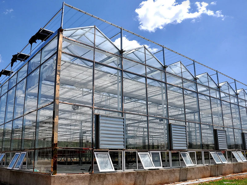 Metal Frame Greenhouse