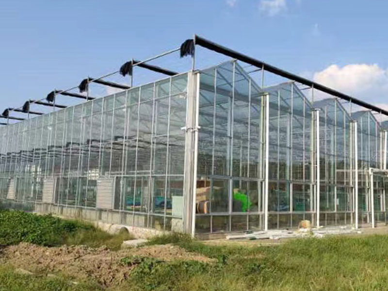 metal greenhouse frames for sale