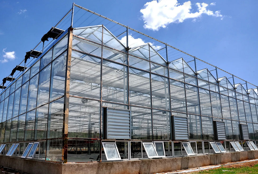 steel structure greenhouse