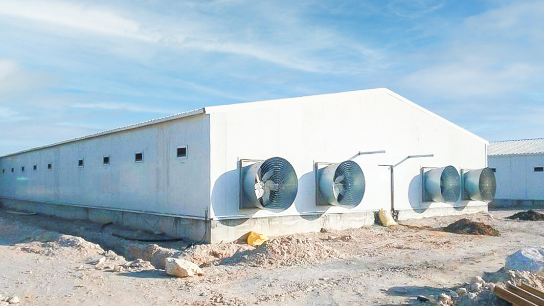 Prefab Agricultural Buildings