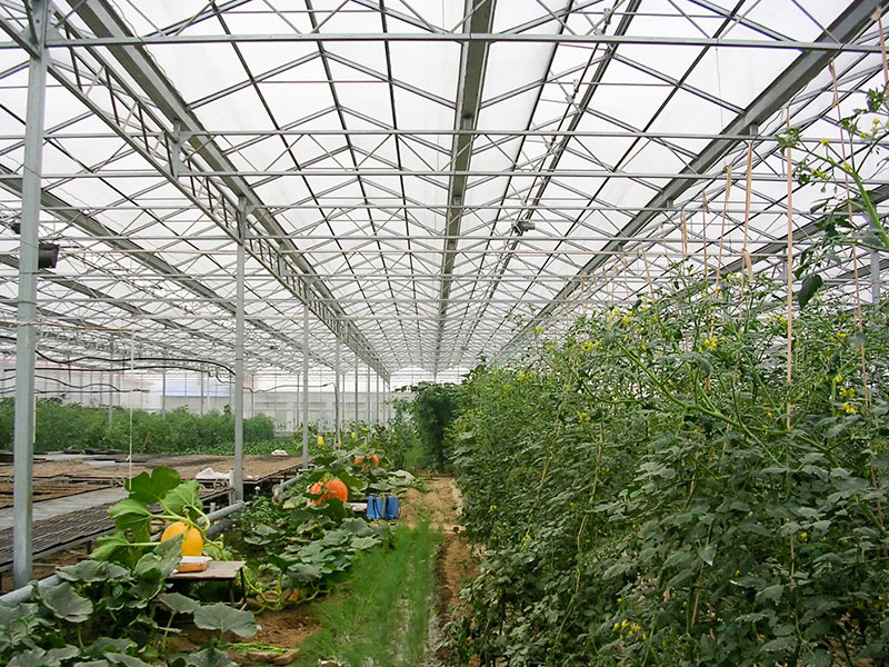 galvanized steel greenhouse frame