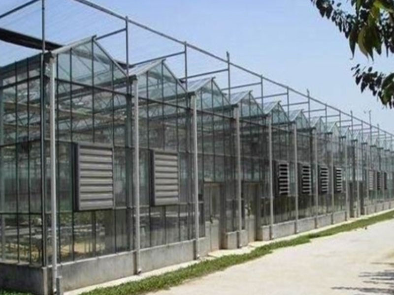 greenhouse with steel frame