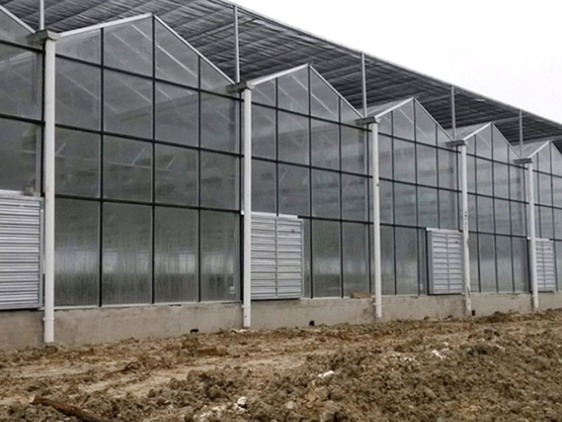 steel frame greenhouse