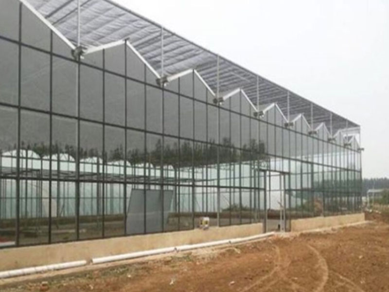 metal frame greenhouse