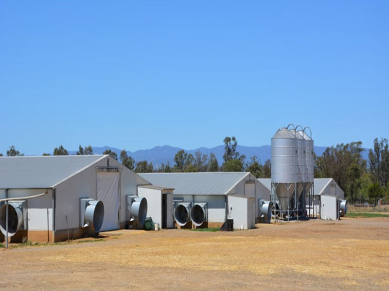 prefabricated farm shed